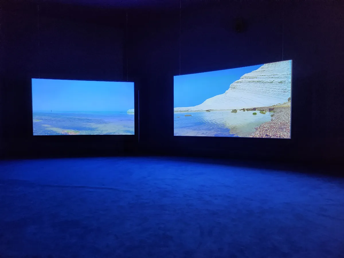 Isaac Julien Gallery Image 20